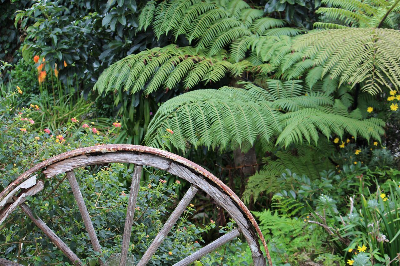 Coromandel Cottages Bagian luar foto